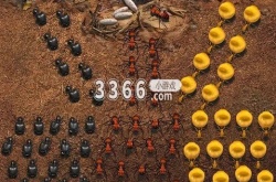 小小蚁国37手游兑换码 小小蚁国37手游兑换码3月份的