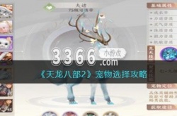 天龙八部2宠物性格怎么选 宠物选择攻略