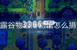 星露谷物语博物馆捐赠奖励 博物馆捐赠方法