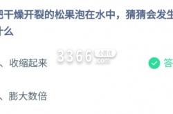 把干燥开裂的松果泡在水中会怎么样 6月3日答案2023蚂蚁庄园