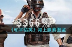 和平精英肾上腺素作用 和平精英肾上腺素图鉴